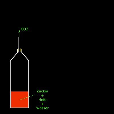 Die einfachste Bio-CO2 Anlage für Aquarien.