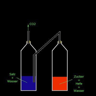 Selbstgebaute CO2 - Anlage mit Waschflasche